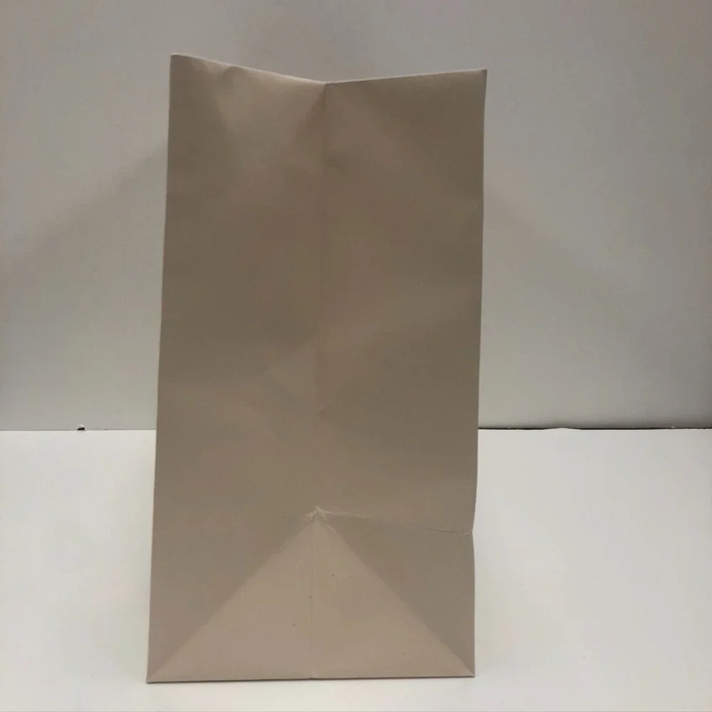 Louis Vuitton Limited Edition Holiday Gift Bag Large 19x9x16